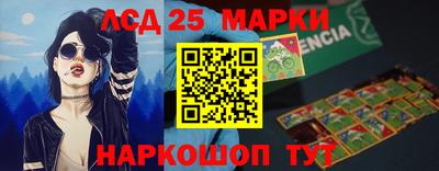 СК Новозыбков