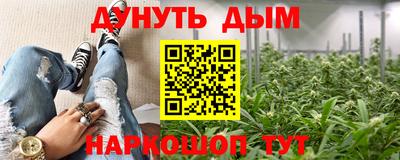 СК Новозыбков