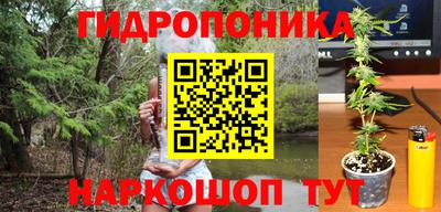 мдпв Новодвинск