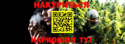СК Новозыбков