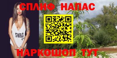 мдпв Новодвинск