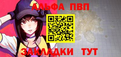 СК Новозыбков